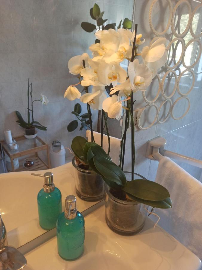 Luce Guest house Lucca
