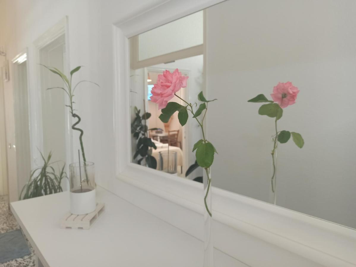 Luce Guest house Lucca